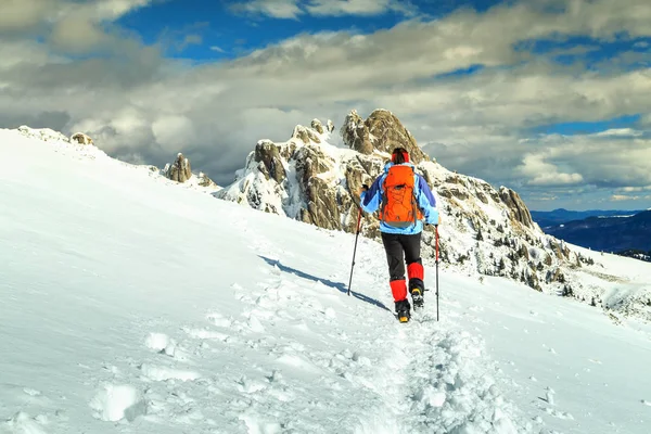 Wanderin mit Rucksack, Ciucas-Berge, Karpaten, Transsilvanien, Rumänien, Europa — Stockfoto