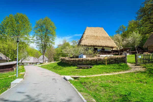 Hagyományos paraszti házak, Astra néprajzi village museum, Sibiu, Románia, Európa — Stock Fotó