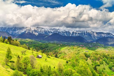 Bahar yatay, Brasov, Transilvanya, Romanya, Europe yakınındaki karlı dağlar