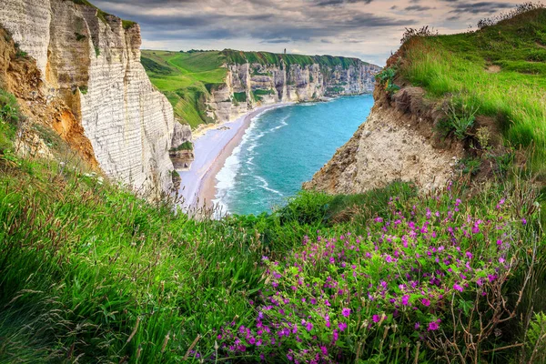 Praia e falésias de Etretat com flores coloridas da primavera, França — Fotografia de Stock
