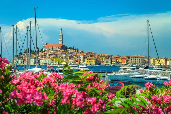 Prachtige stadsgezicht met oude stad van Rovinj, Istrië regio, Kroatië, Europa — Stockfoto