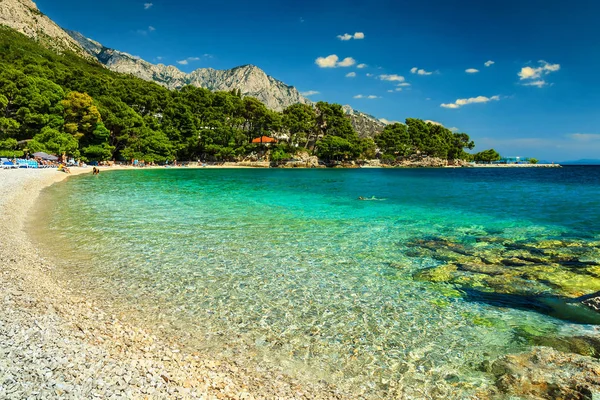 Muhteşem koyu ve Plajı, Brela, Dalmaçya bölge, Hırvatistan, Avrupa — Stok fotoğraf