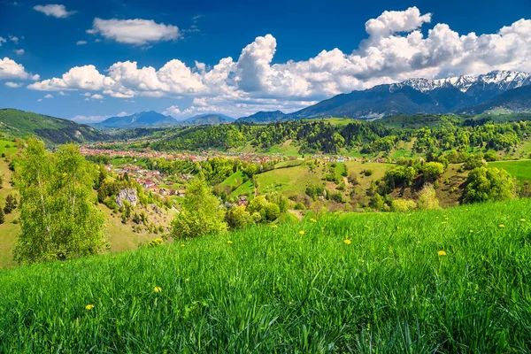 Summer landscape with rural village, Bran, Transylvania, Romania, Europe — Stock Photo, Image