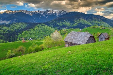 Yaz kırsal manzara ve wilderness Brasov, Transilvanya, Romanya, Europe yakınındaki