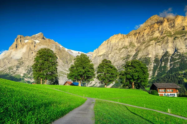 Impressionante campo verde ordenado com altas montanhas nevadas, Grindelwald, Suíça — Fotografia de Stock
