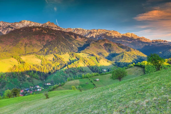Yaz kırsal manzara ve wilderness Bran, Transilvanya, Romanya, Europe yakınındaki — Stok fotoğraf