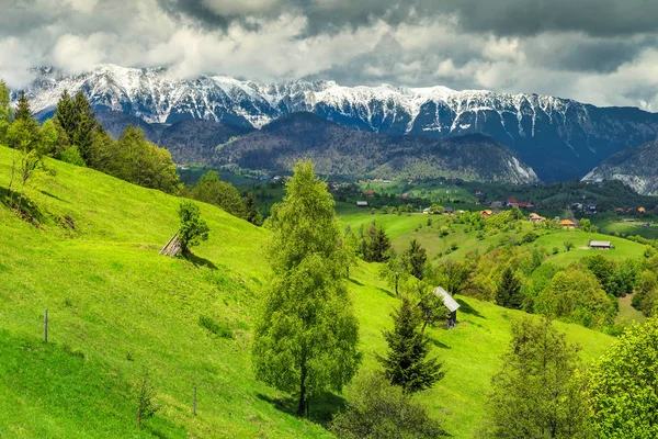 Sommerlandschaft mit schneebedeckten Bergen in der Nähe von Brasov, Siebenbürgen, Rumänien, Europa — Stockfoto