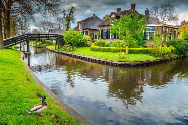 Berömda gamla holländska by med halmtak, Giethoorn, Nederländerna, Europa — Stockfoto