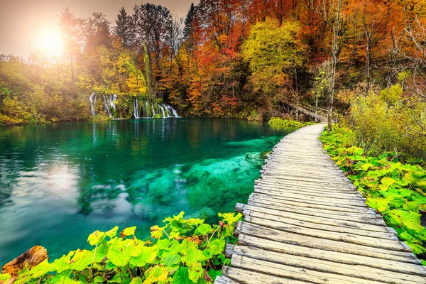 カラフルな秋の森、プリトビチェ湖群、クロアチア観光経路 — ストック写真