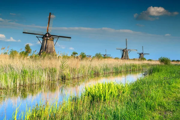 Célèbres moulins à vent en bois au musée Kinderdijk, Pays-Bas, Europe — Photo