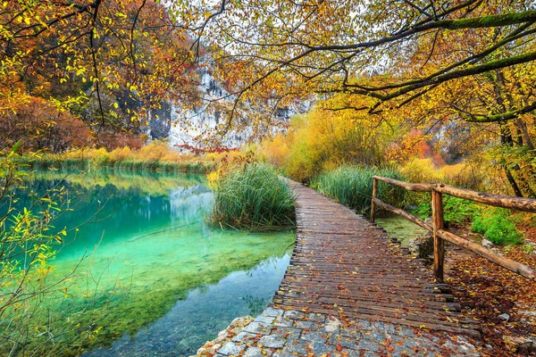 カラフルな秋の森、プリトビチェ湖群、クロアチアの息をのむ観光経路 — ストック写真