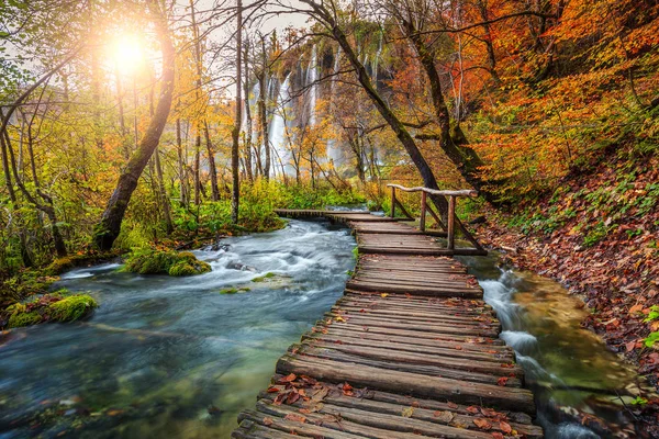 Fantástico sendero turístico en colorido bosque otoñal, lagos de Plitvice, Croacia — Foto de Stock