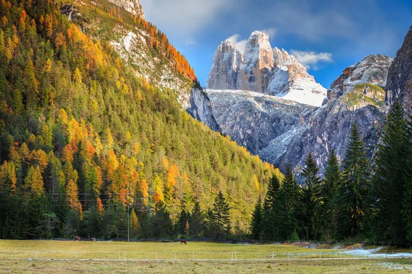 Les sommets spectaculaires de Tre Cime Di Lavaredo à Dolomites, Italie — Photo