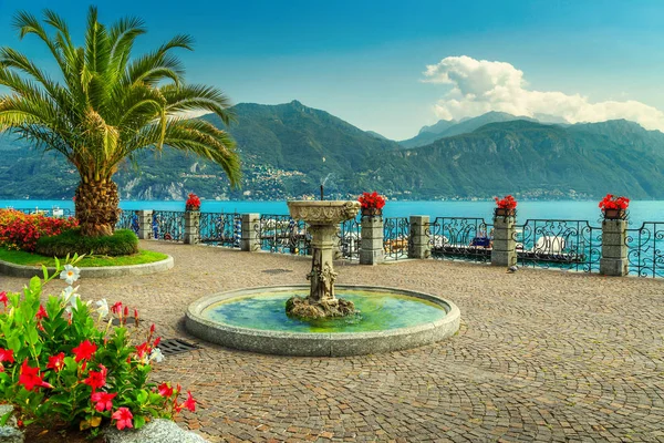 Färgglada blommor och spektakulära strandpromenad, Comosjön, Lombardiet, Italien — Stockfoto