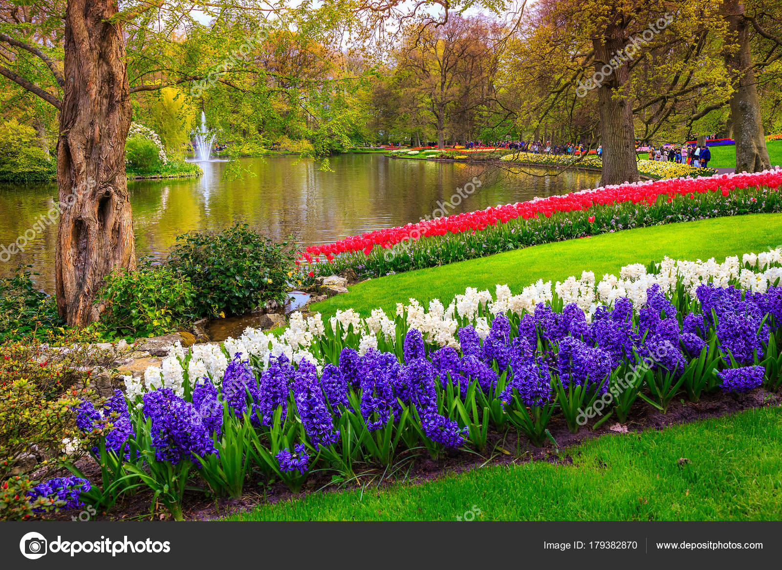 NHỮNG CÁNH ĐỒNG HOA TUYỆT ĐẸP Depositphotos_179382870-stock-photo-breathtaking-colorful-fresh-tulips-in