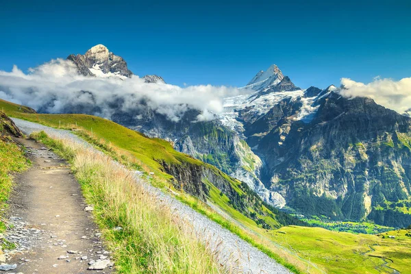 Skogsstig med höga berg i bakgrunden, Grindelwald, Schweiz, Europa — Stockfoto