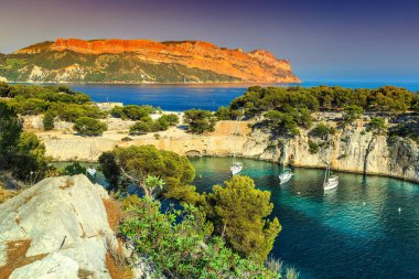 Wonderful Calanques de Port Pin in Cassis near Marseille, France