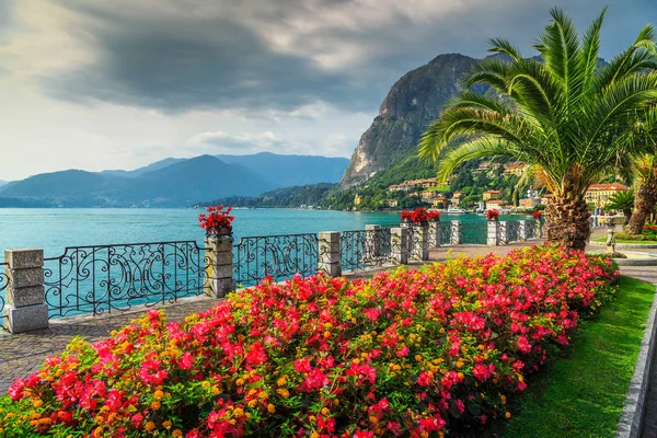 Färgglada blommor och spektakulära park, Comosjön, Lombardiet, Italien — Stockfoto