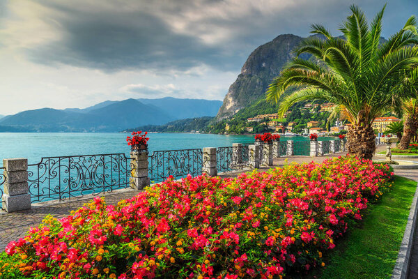 Wonderful promenade with colorful flowers in public park and palm trees on the shore, Lake Como, Lombardy region, Northern Italy, Europe
