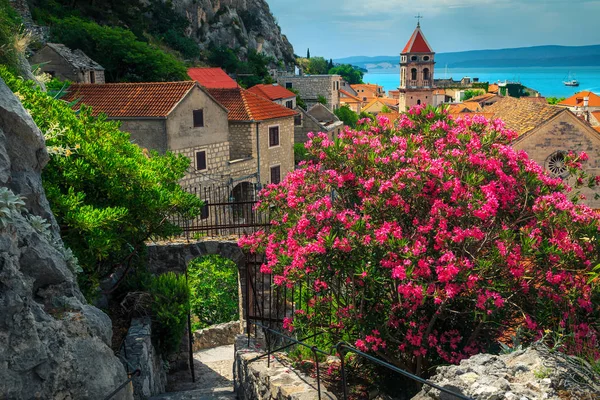 Passeio florido com casas de pedra rústicas em Omis, Dalmácia, Croácia — Fotografia de Stock