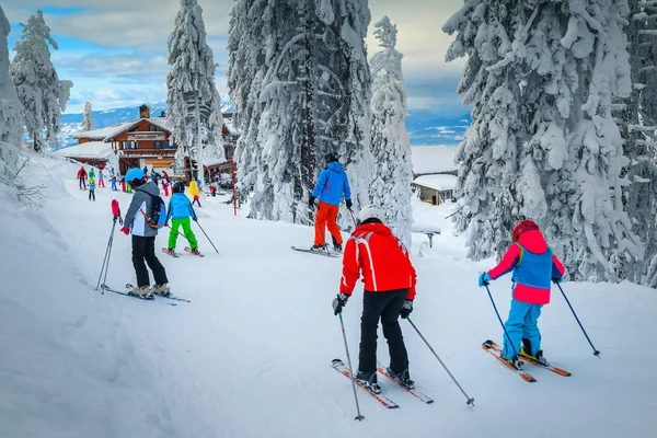 Populär skidort med skidåkare på sluttningen, Poiana Brasov — Stockfoto