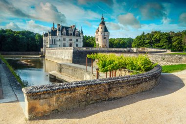 Bahçeli, Loire Vadisi, Fransa, Avrupa 'lı Chenonceau Şatosu 