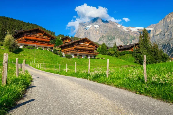 Drewniane domki i ogrody z kwiecistymi łąkami, Grindelwald, Szwajcaria — Zdjęcie stockowe