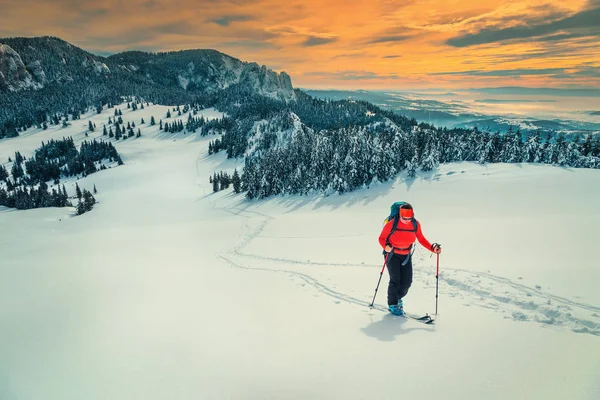 Passeio de esqui nas colinas nevadas ao nascer do sol, Cárpatos, Roménia — Fotografia de Stock