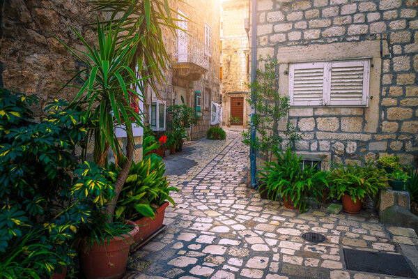 Rustic paved street decorated with mediterranean flowers and plants in Hvar old town, Hvar island, Dalmatia, Croatia, Europe