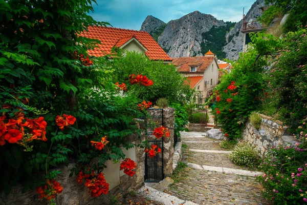 Enge straße mit geblümtem eingang in omis, dalmatien, kroatien, europa — Stockfoto