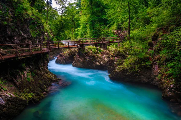 Türkisfarbener Fluss Radovna in Winzerschlucht und Holzsteg, Slowenien — Stockfoto