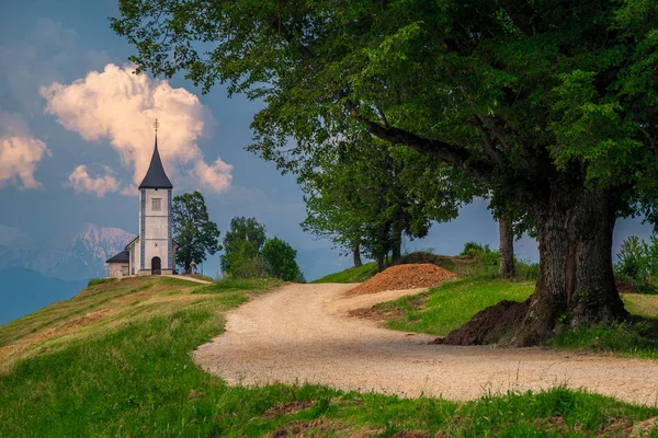 スロベニアのジャムニク近くにある聖プリモス教会のある牧歌的な高山風景 — ストック写真