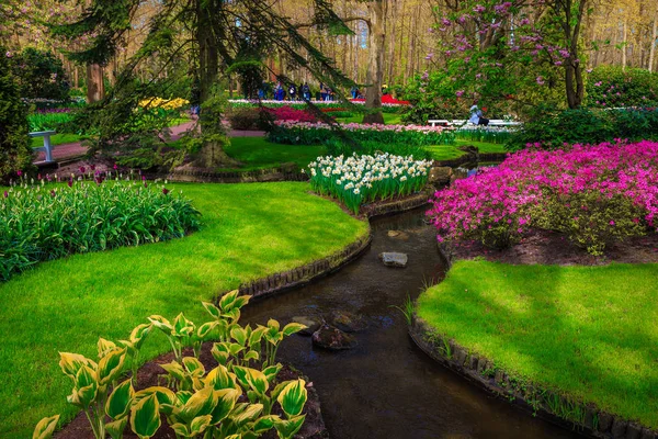 Schilderachtige kleurrijke lentebloemen in het sierpark Lisse, Nederland — Stockfoto