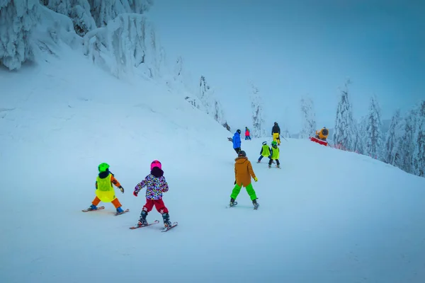 스키 리조트에는 루마니아, 트란실바니아, 아이들 스키타기 와 눈덮인 나무들이 있다 — 스톡 사진