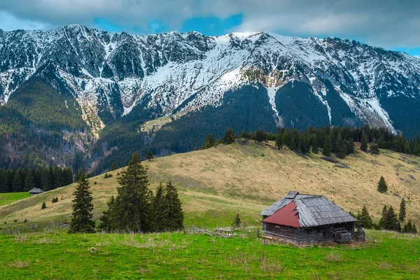 Paisagem de pastagem de primavera com montanhas nevadas no fundo, Transilvânia, Romênia — Fotografia de Stock
