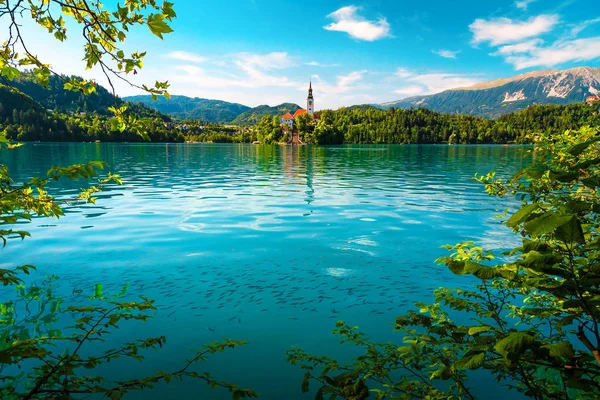 Vista de tirar o fôlego com a igreja de Peregrinação e lago Bled, Eslovênia — Fotografia de Stock