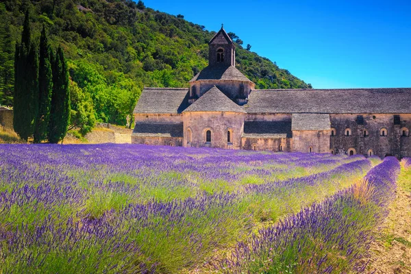 Abbey of Senanque with beautiful lavender fields, Gordes, Provence, France — Stock Photo, Image