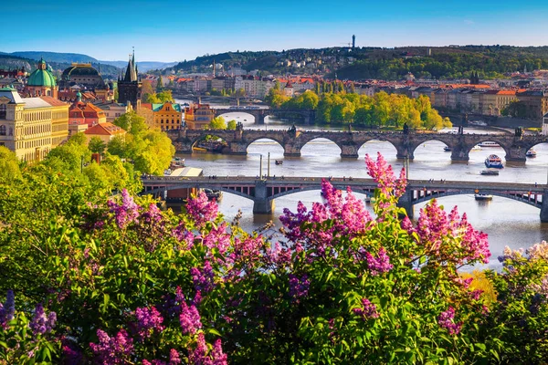 Υπέροχη άνοιξη πανόραμα της Πράγας με ποτάμι και γέφυρες — Φωτογραφία Αρχείου