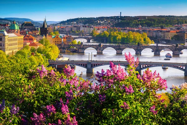 Prag 'ın harika bahar manzarası. Nehir ve köprüler.