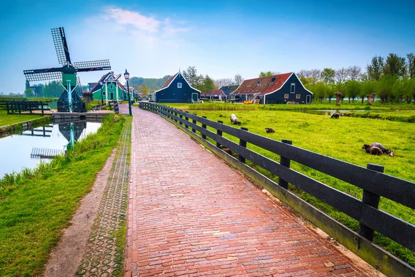 Популярная сельская туристическая деревня Zaanse Schans недалеко от Амстердама, Нидерланды, Европа — стоковое фото