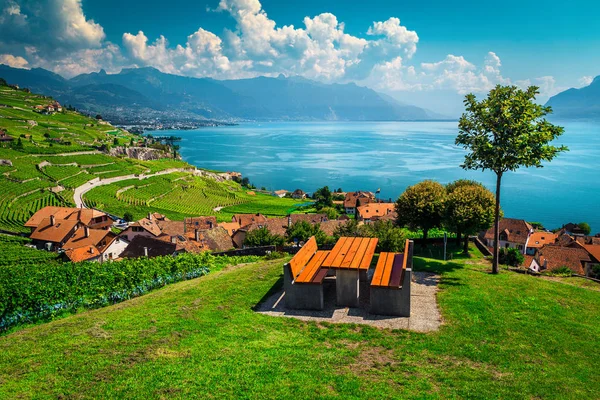 Vinhedos com lugar de descanso incrível na colina, Rivaz, Suíça — Fotografia de Stock