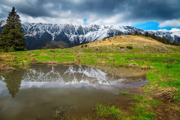 Alpské jarní scenérie se zasněženými horami v pozadí, Transylvánie, Rumunsko — Stock fotografie