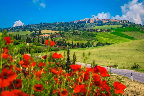 Сільськогосподарський Ландшафт Зерновими Полями Червоними Маками Stunning Pienza Cityscape Rural — стокове фото