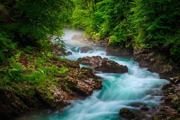 Fantastisk Och Välkänd Turistort Nära Bled Fantastisk Vintgar Ravin Och — Stockfoto