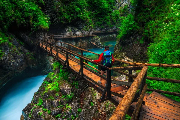 Actieve Backpacker Wandelaar Vrouw Houten Voetgangersbrug Genietend Van Het Uitzicht — Stockfoto