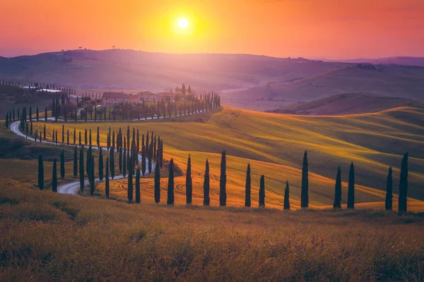 Magisch Toscaans Landschap Met Graanvelden Cipressen Huizen Heuvels Bij Zonsondergang Rechtenvrije Stockfoto's