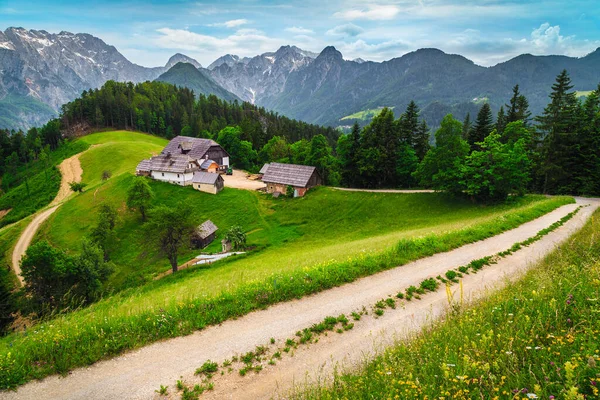 Letni Alpejski Krajobraz Wysokimi Górami Gospodarstwami Polanie Leśnej Alpy Kamnik — Zdjęcie stockowe