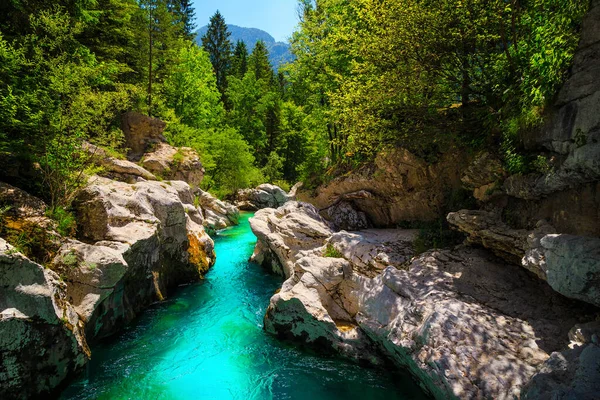 ヨーロッパで素晴らしいラフティングやカヤックの場所 カヤックの目的地と壮大な自然の場所 見事なターコイズソカ川と狭い峡谷 ボベツ スロベニア ヨーロッパ — ストック写真