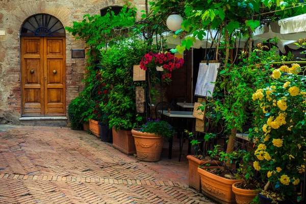レストラン ピエンツァ トスカーナ イタリア ヨーロッパでカラフルなバラの茂みと舗装された町の広場や装飾的な入り口 — ストック写真