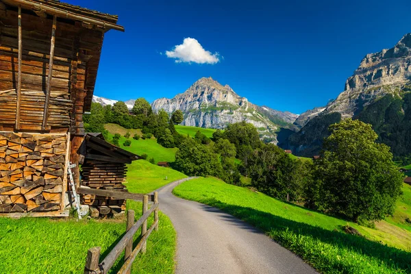 Narrow Rural Trail Wooden Lodges Green Fields Mountains Background Grindelwald — Stock Photo, Image